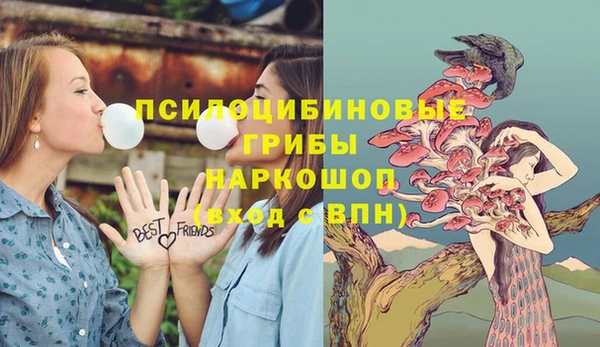 jwh Верея